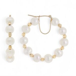 NEW 14K YG Cultured Pearls Saddleback Hoops Earrings Yellow Gold 14kt 14k 14KT